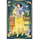 Mini puzzle Trefl Beautiful Princesses, 54 piese