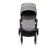 Carucior Graco Near2Me TS Steeple Grey foto