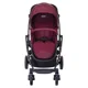 Carucior Graco Evo Red Leopard foto