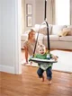 Прыгунки Graco Bumper Jumper Bear Trail foto