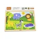 Puzzle in cadru de lemn Viga Toys Africa, 16 elemente foto
