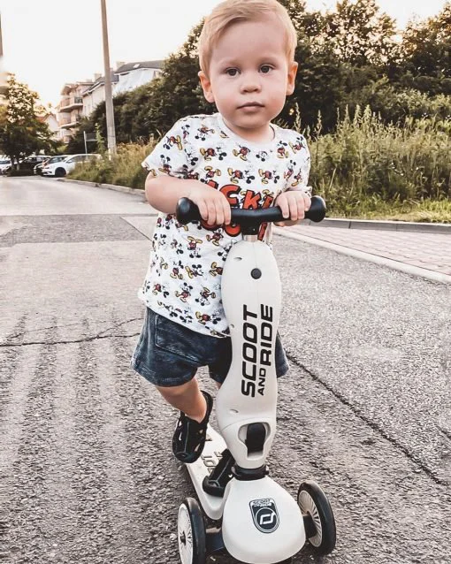 Trotineta transformabila 2 in 1 Scoot & Ride HighwayKick 1 Ash foto