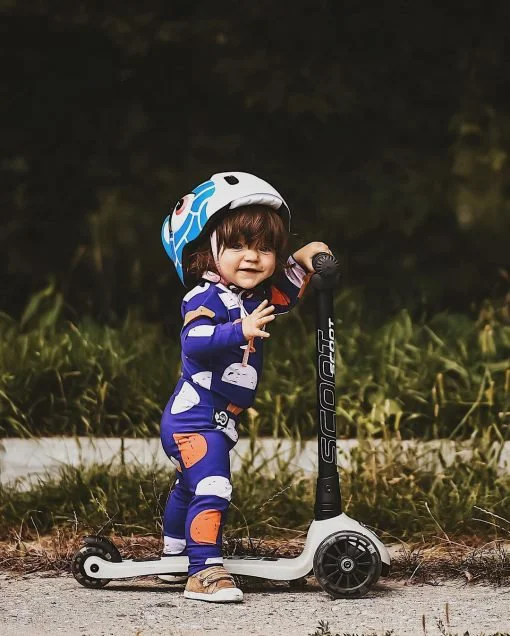 Cамокат cкладной Scoot & Ride HighwayKick 3 Led Ash foto