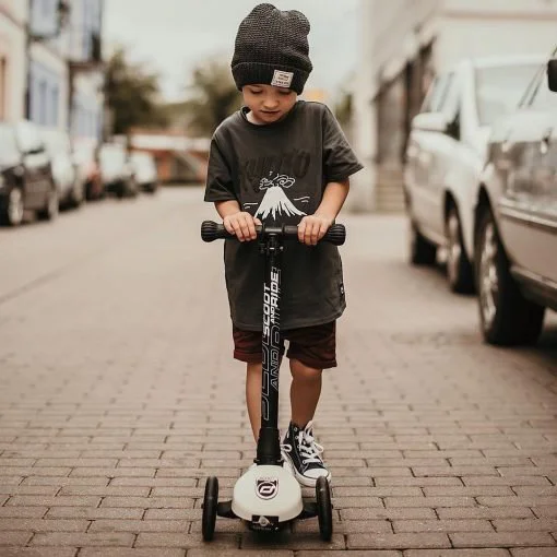 Cамокат cкладной Scoot & Ride HighwayKick 3 Led Ash foto