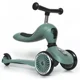Trotineta transformabila 2 in 1 Scoot & Ride HighwayKick 1 Forest foto