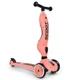 Trotineta transformabila 2 in 1 Scoot & Ride HighwayKick 1 Peach foto