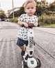 Trotineta transformabila 2 in 1 Scoot & Ride HighwayKick 1 Ash foto