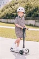 Cамокат cкладной Scoot & Ride HighwayKick 3 Led Ash foto