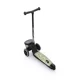 Cамокат cкладной Scoot & Ride HighwayKick 2 Lifestyle Green Lines foto