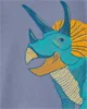Carter's Tricou Dinozaur foto