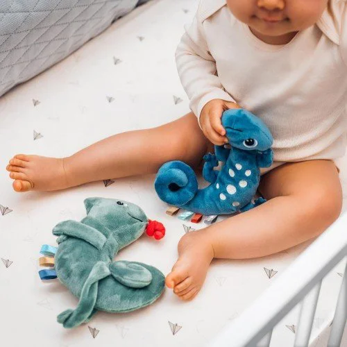 Jucarie educativa - suspensie pentru carucior BabyOno Chameleon Charles foto