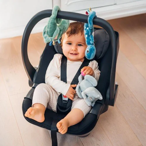 Jucarie educativa - suspensie pentru carucior BabyOno Chameleon Charles foto