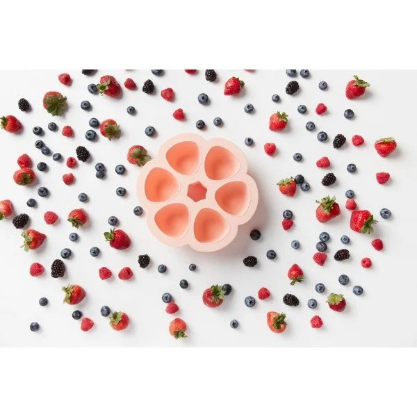 Recipient ermetic din silicon pentru mai multe portii Beaba Old Pink