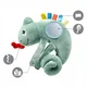 Jucarie educativa - suspensie pentru carucior BabyOno Chameleon Charles foto