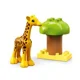 LEGO Duplo Wild Animals of Africa foto