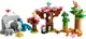 LEGO Duplo Wild Animals of Asia foto