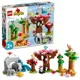 LEGO Duplo Wild Animals of Asia foto