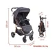 Коляска 3 в 1 BabyGo Style Black-Rose