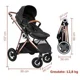 Коляска 3 в 1 BabyGo AIR Halime Black, рама Gold