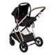 Коляска 3 в 1 BabyGo AIR Halime Black, рама Gold