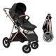 Коляска 3 в 1 BabyGo AIR Halime Black, рама Gold