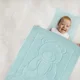 Комплект плюшевой подушки и одеяла BabyJem Green foto
