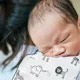 Set prosopel pentru alaptare BabyJem Zoo din muselina foto