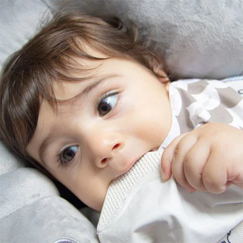 Нагрудник-бандана с игрушкой для прорезывания зубов BabyJem Коричневый