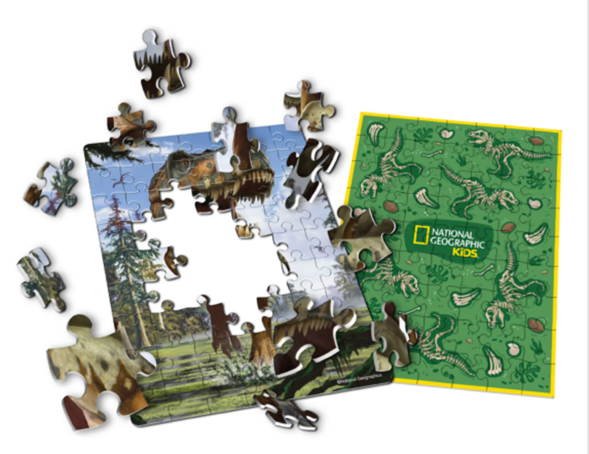 Puzzle 2D CubicFun Pterosaur foto