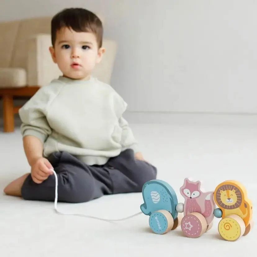 Деревянная каталка Viga Toys PolarB Зверята foto