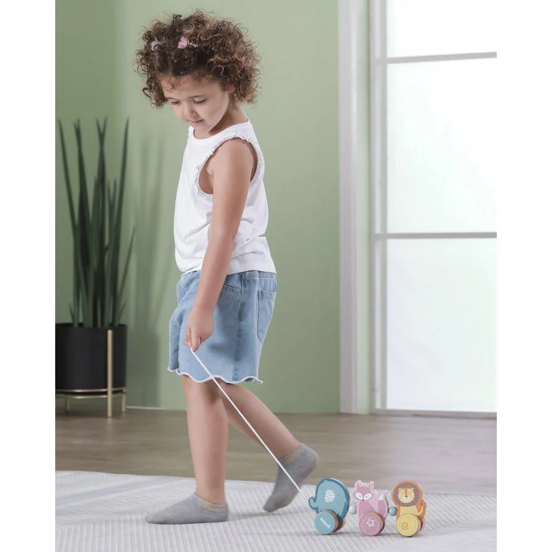 Деревянная каталка Viga Toys PolarB Зверята foto