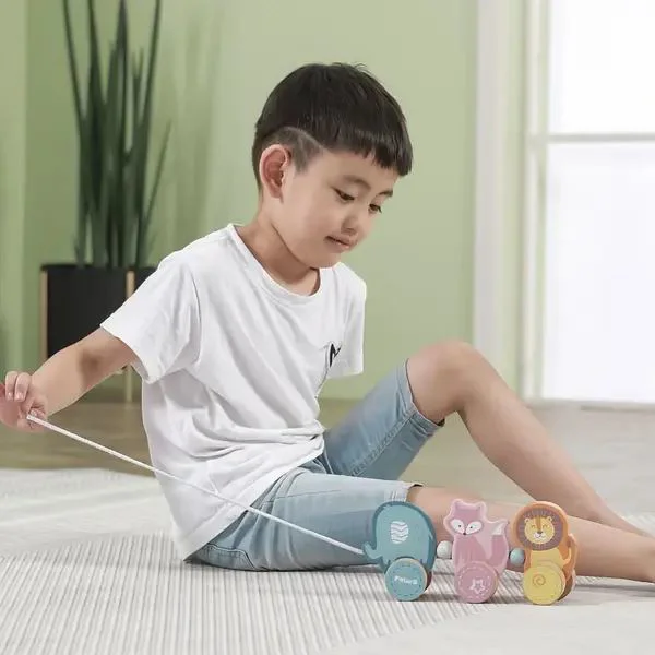 Деревянная каталка Viga Toys PolarB Зверята foto