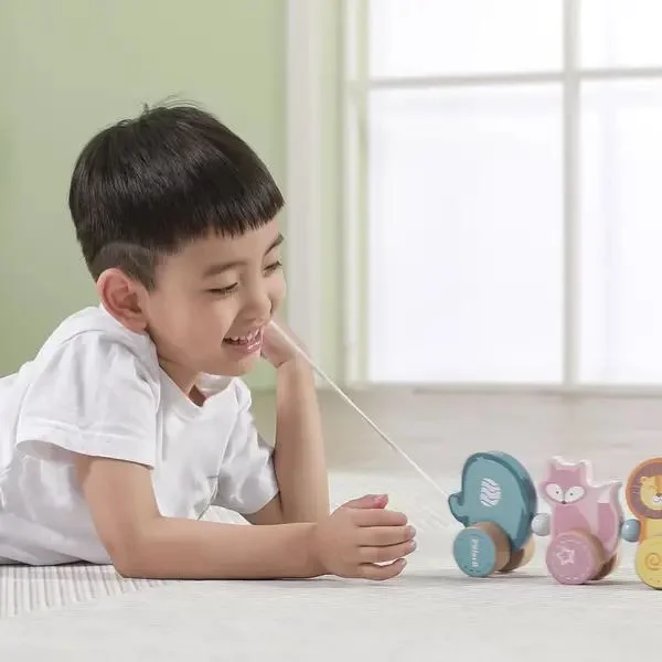 Деревянная каталка Viga Toys PolarB Зверята foto