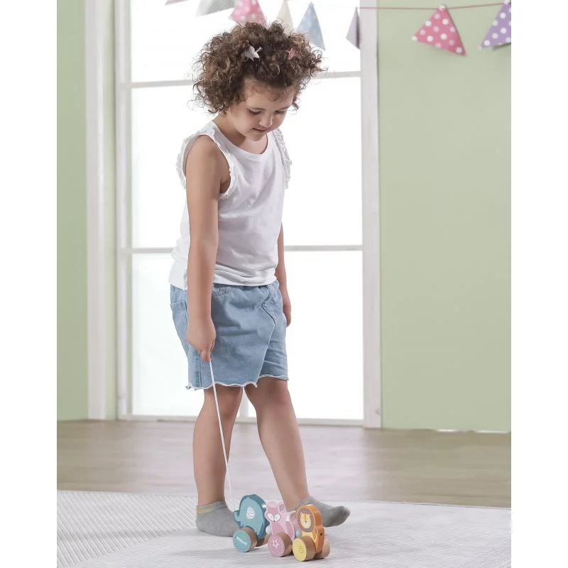 Деревянная каталка Viga Toys PolarB Зверята foto