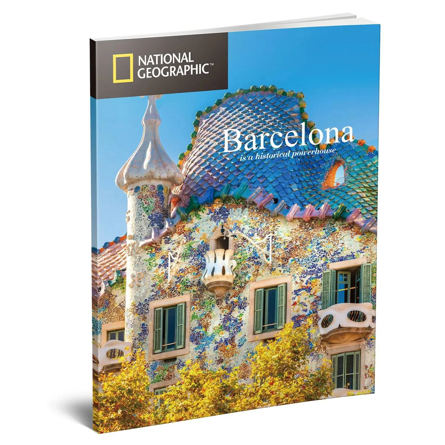 Puzzle 3D CubicFun Sagrada Familia, 184 piese foto