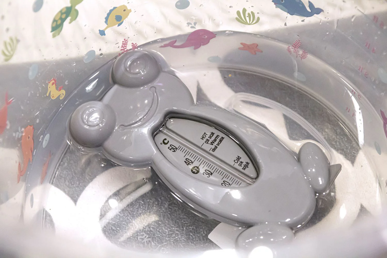 Термометр для ванной и комнаты BabyJem Лягушка Grey foto