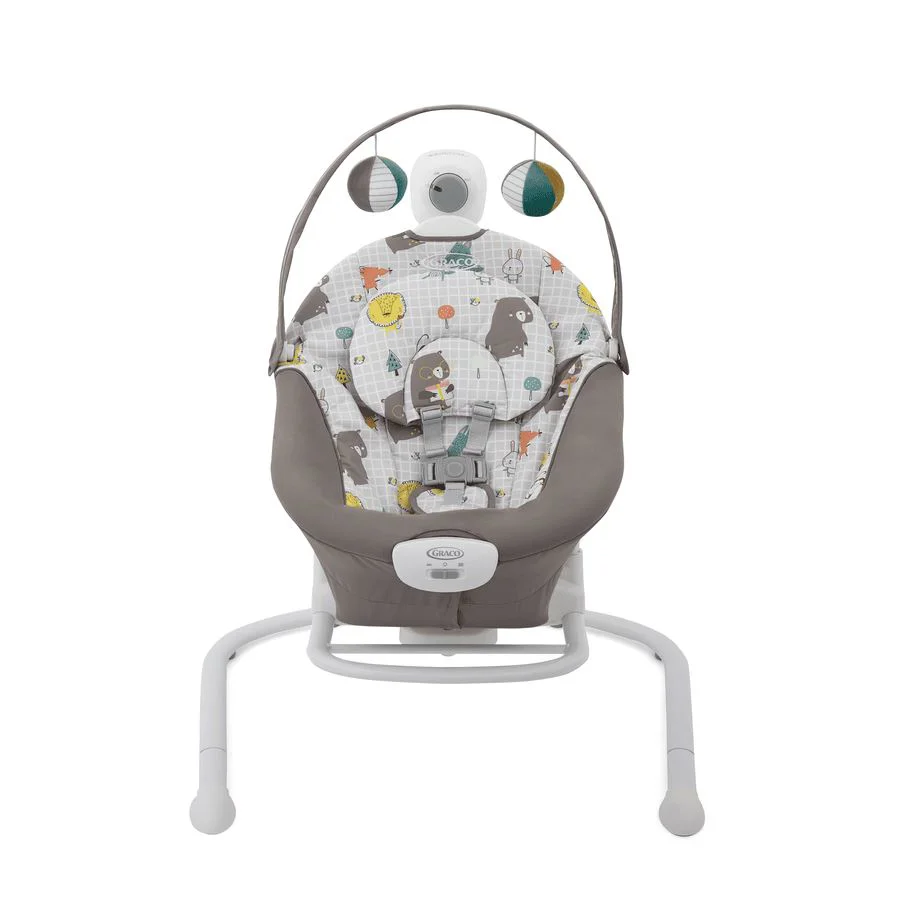 Balansoar Graco 2 in 1 Duet Sway Bear Tales