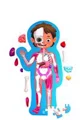 Пазл Hape Как устроено тело человека foto