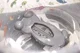 Термометр для ванной и комнаты BabyJem Лягушка Grey foto
