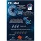 Настольная игра Trefl "Cel Mai"