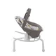 Balansoar Graco 2 in 1 Duet Sway Bear Tales
