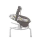Balansoar Graco 2 in 1 Duet Sway Bear Tales