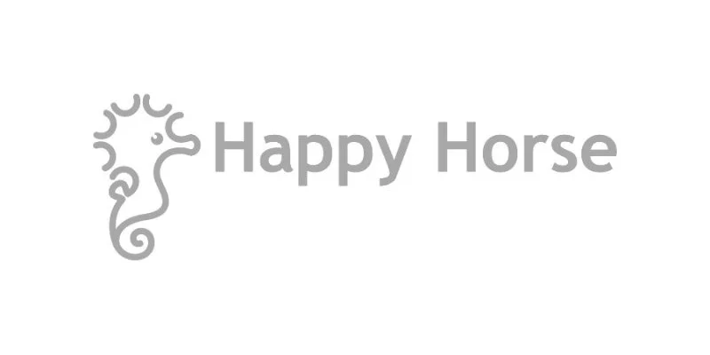 Happy Horse foto