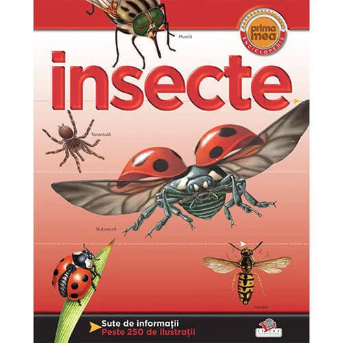 Prima mea enciclopedie - insecte