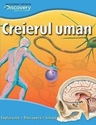 Creierul uman - Discovery