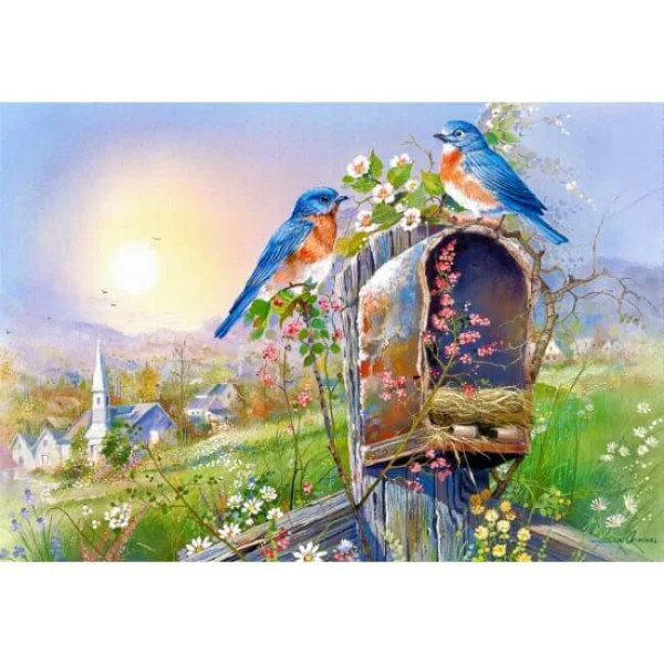 Puzzle Castorland Birds and Mailbox, 1000 piese