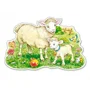 Puzzle Castorland A Lamb with his Mom, 12 piese