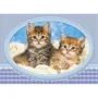 Puzzle Castorland Kittens Curling up on a Blanket, 120 MIDI piese