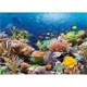 Puzzle Castorland Coral Reef Fishes, 1000 piese