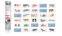 Игра Micro Londji Animal Dictionary